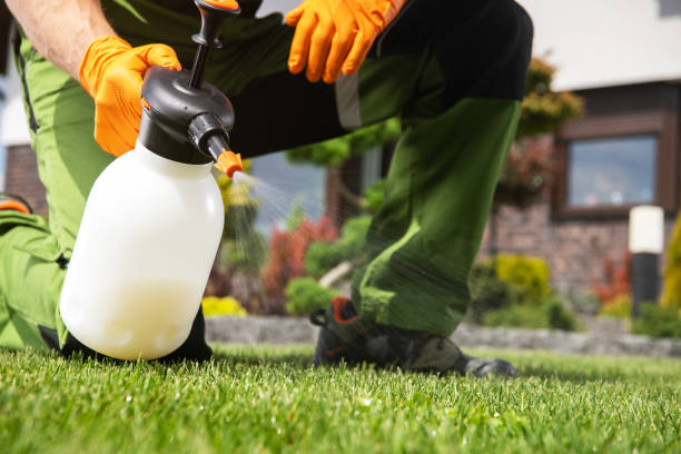Best Pest Prevention Services  in Houma, LA