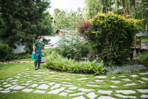 Best Affordable Pest Control Services  in Houma, LA