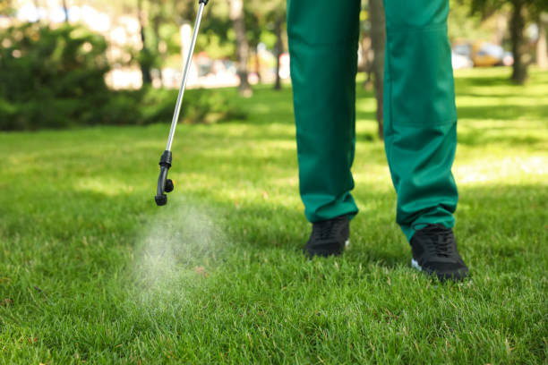 Best Residential Pest Control  in Houma, LA