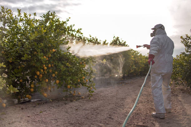 Best Mosquito Control Services  in Houma, LA