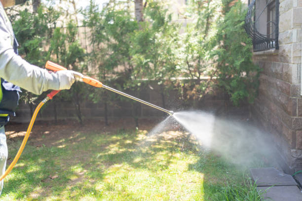 Best Best Pest Control Companies  in Houma, LA